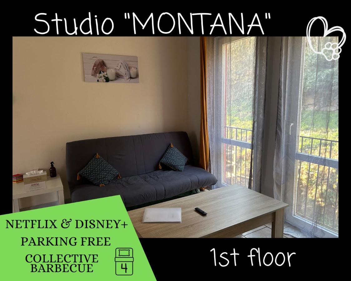 L'Arizona Dinant - Studio Montana - Barbecue, Free Parking, Dog Ok מראה חיצוני תמונה